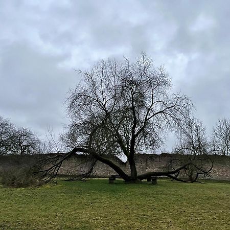 Delux Ferienwohnung Kunstgalerie Und Ilmradweg Kranichfeld Exteriér fotografie