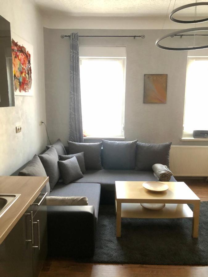 Delux Ferienwohnung Kunstgalerie Und Ilmradweg Kranichfeld Exteriér fotografie