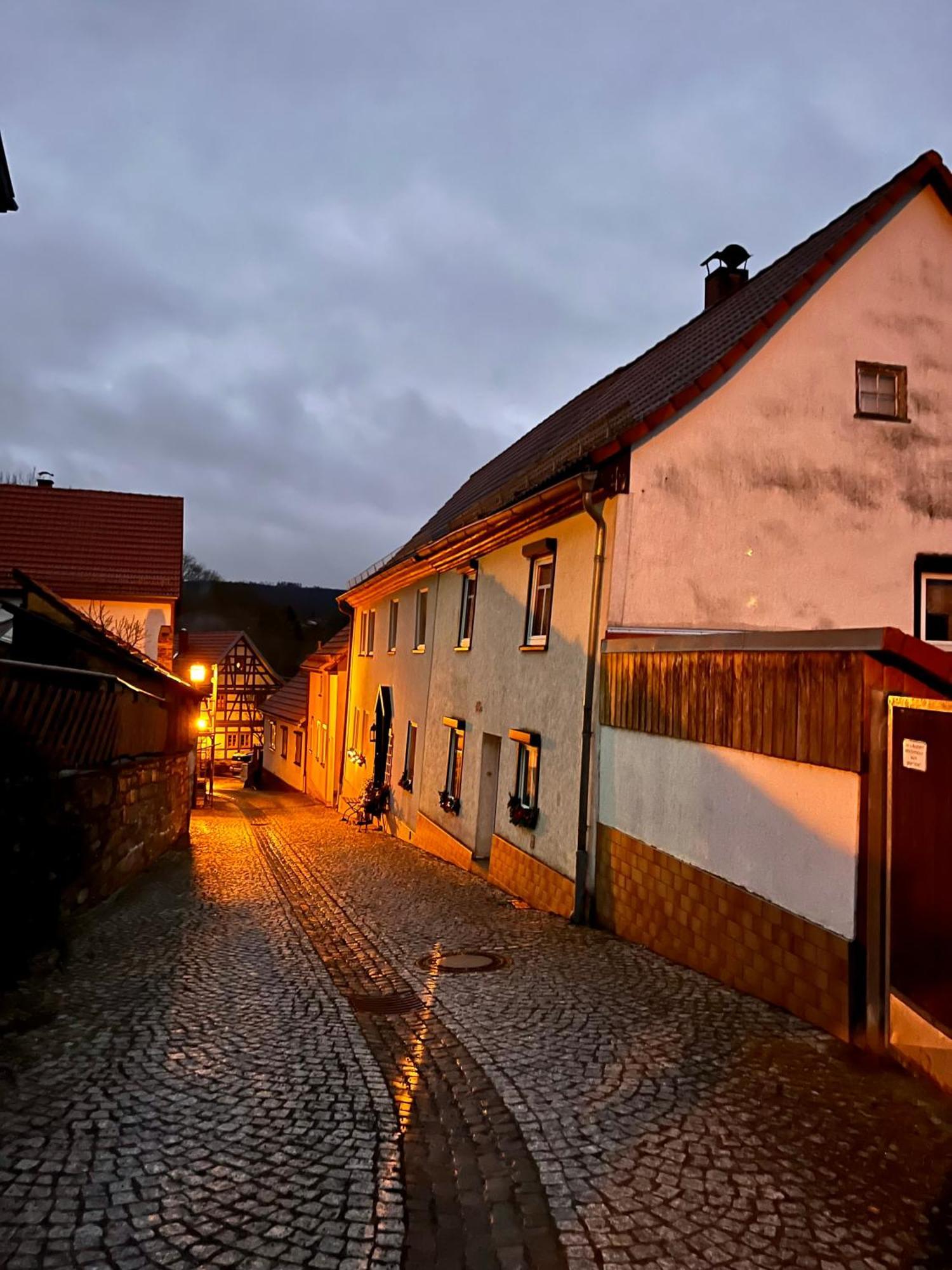 Delux Ferienwohnung Kunstgalerie Und Ilmradweg Kranichfeld Exteriér fotografie